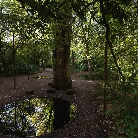 בית הארחה The Cool Design